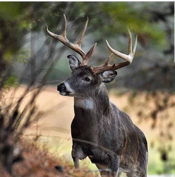 129060051_914837645922955_125063281608714703_n