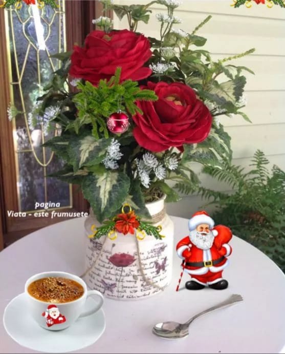 129381248_1300645866969817_516901147018649434_n