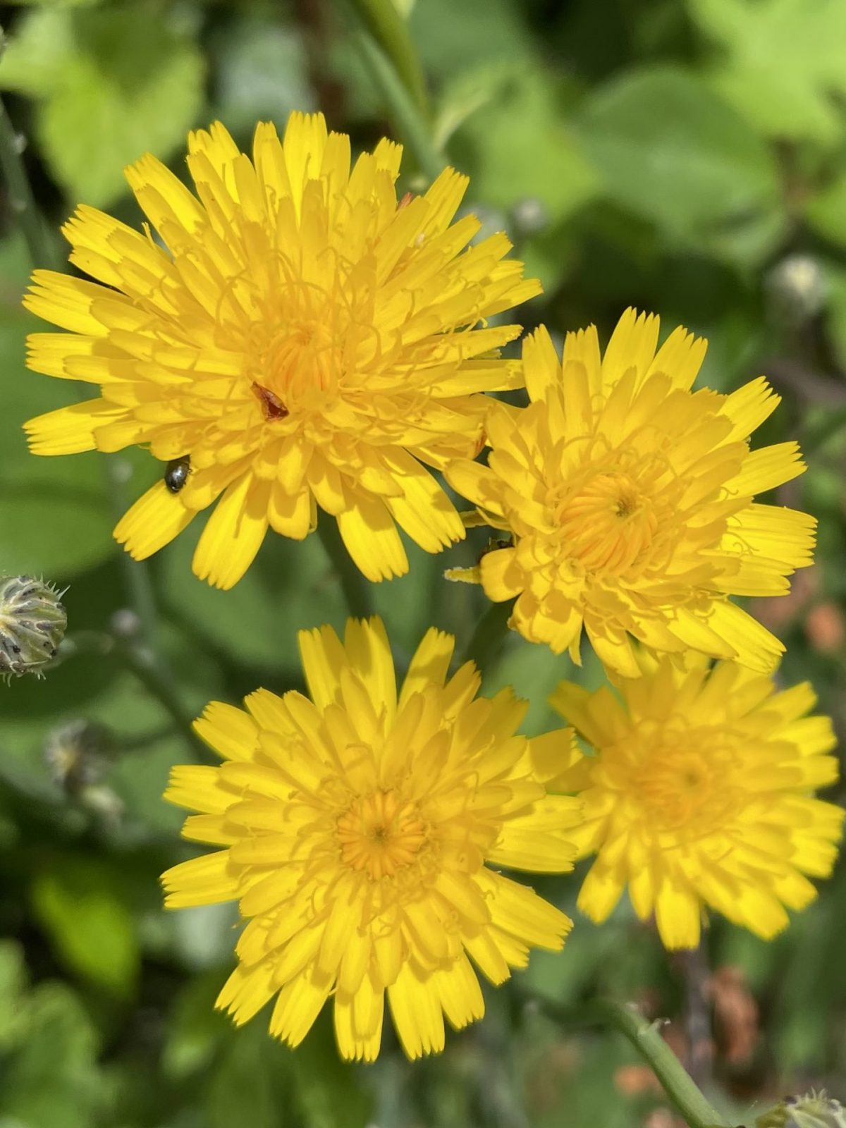 1297308C-A201-44E3-968F-9A5A965EF324