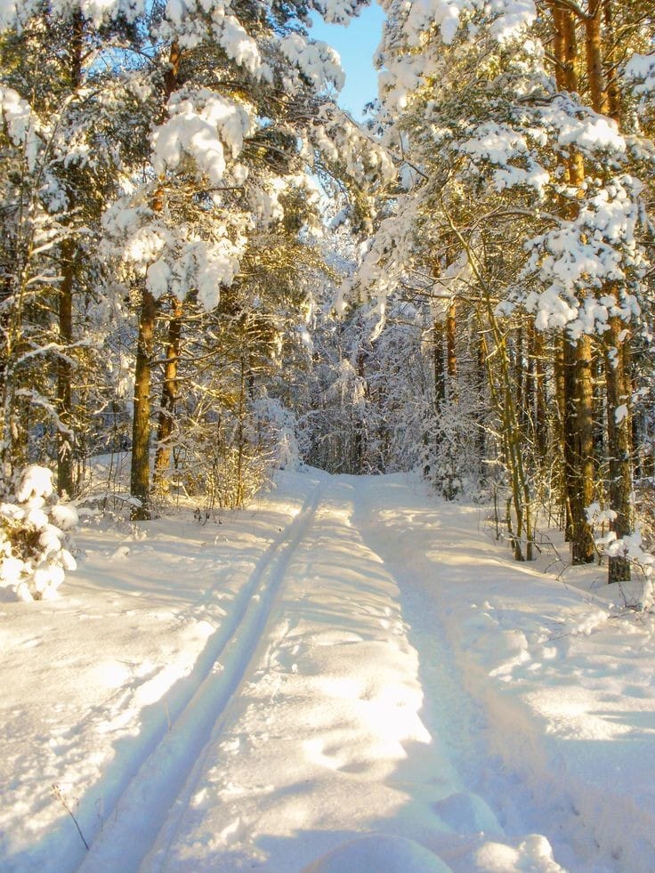 129761326_798044674076234_9102873267444617896_o