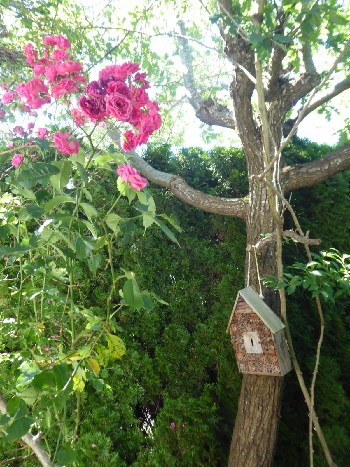 13.7.2022 Edi & Rolande (59)