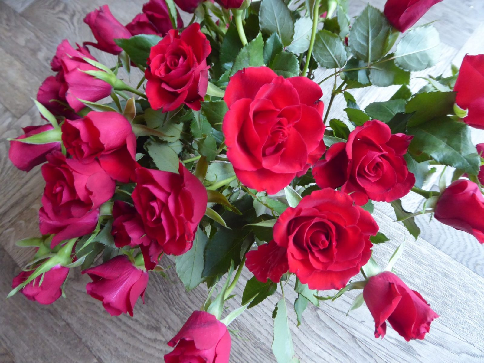 13.8.2022 Samstag (118)