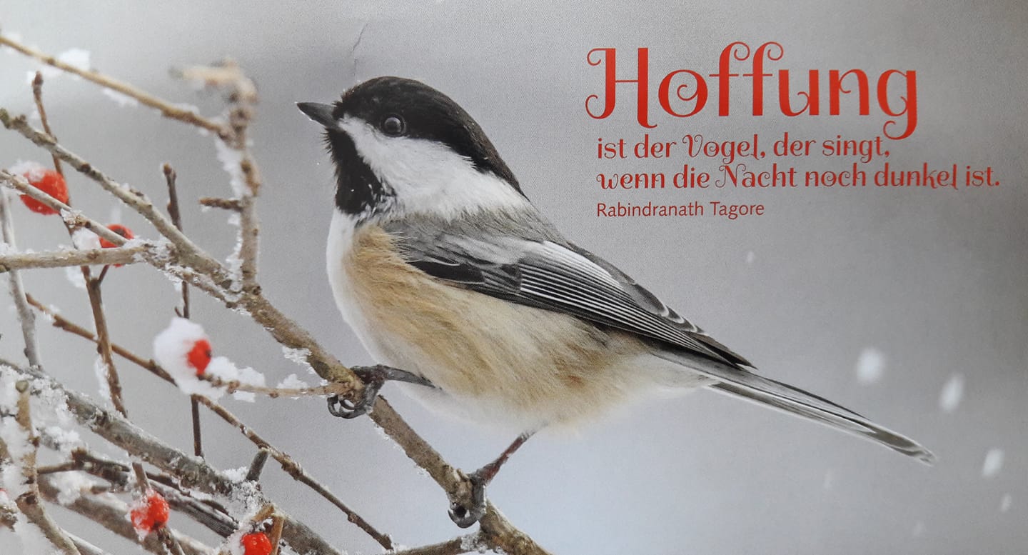 130008108_2822254164685112_3220310392112774306_o