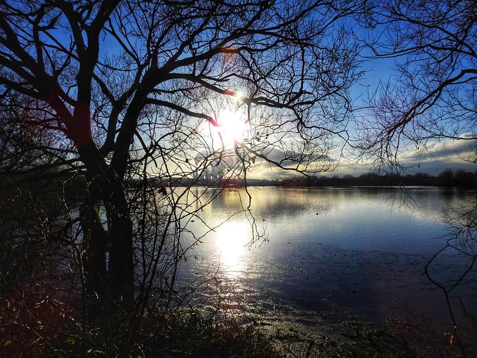 130069561_3396511007241198_1659337864188971386_n