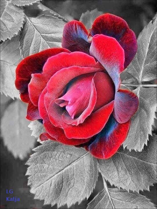 130186888_3565283510216925_396939790040971438_n