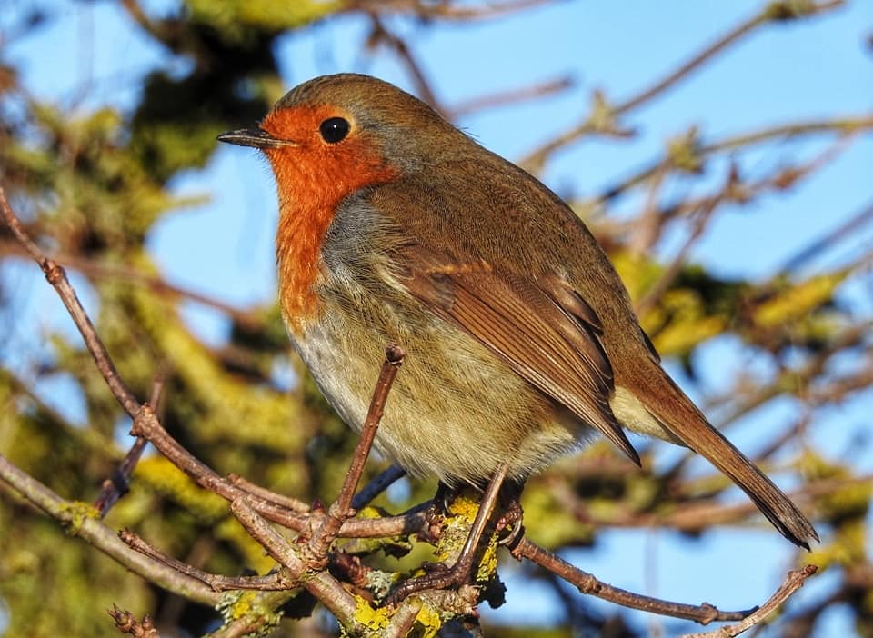 130193905_3396471277245171_4526971834911177271_n