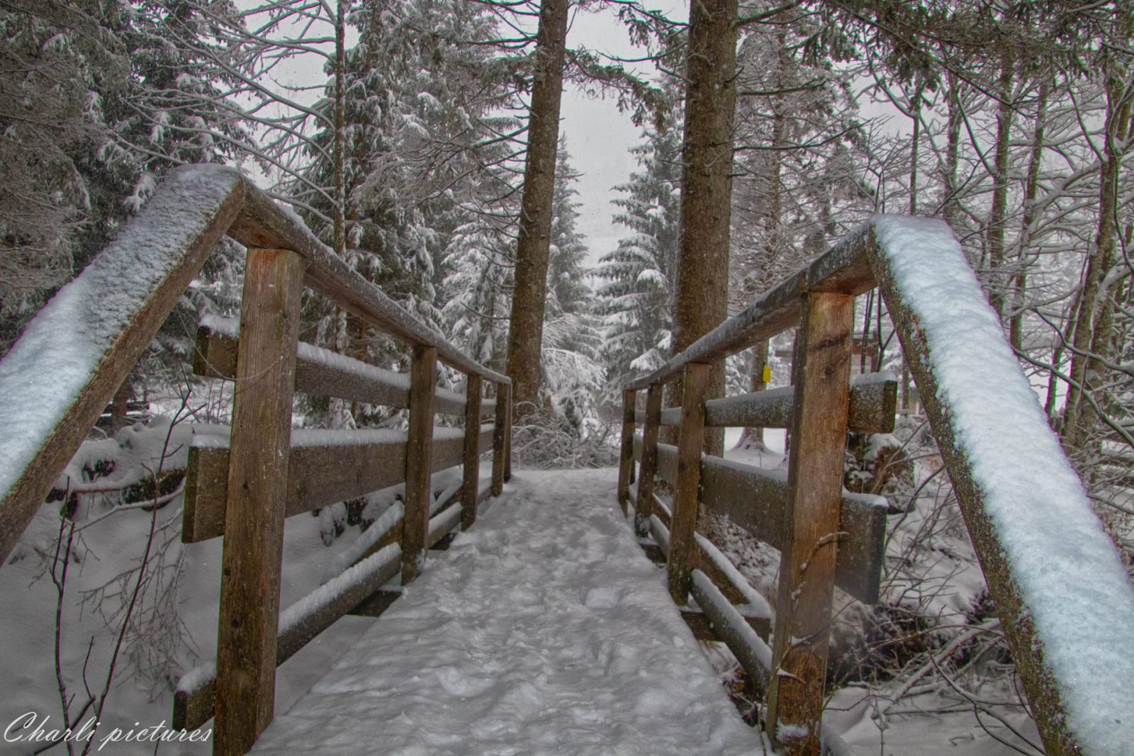 130291155_3615751598460067_7200661276583231879_o