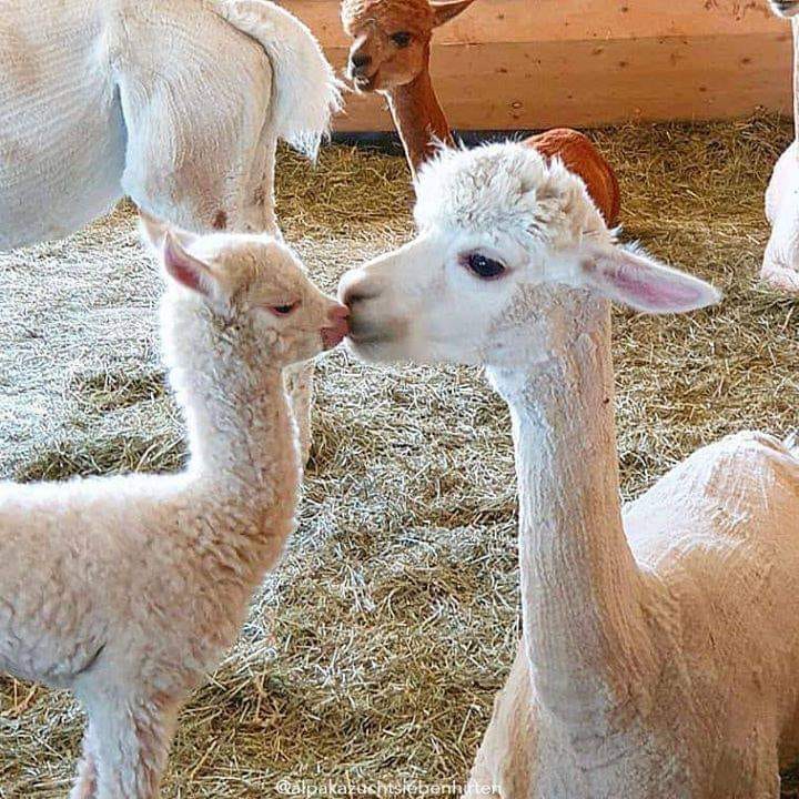 131111434_3611474485595290_4473697306288538668_n