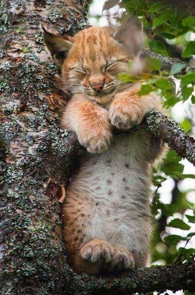 131116095_211102563935730_7780969276472205771_n