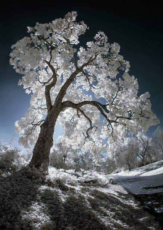 131119122_404593610954581_668246068141732294_n