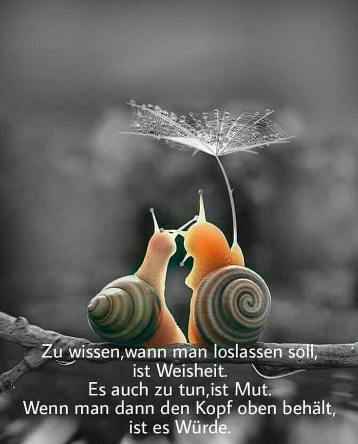 131305003_213148050275736_5331639830130556277_n