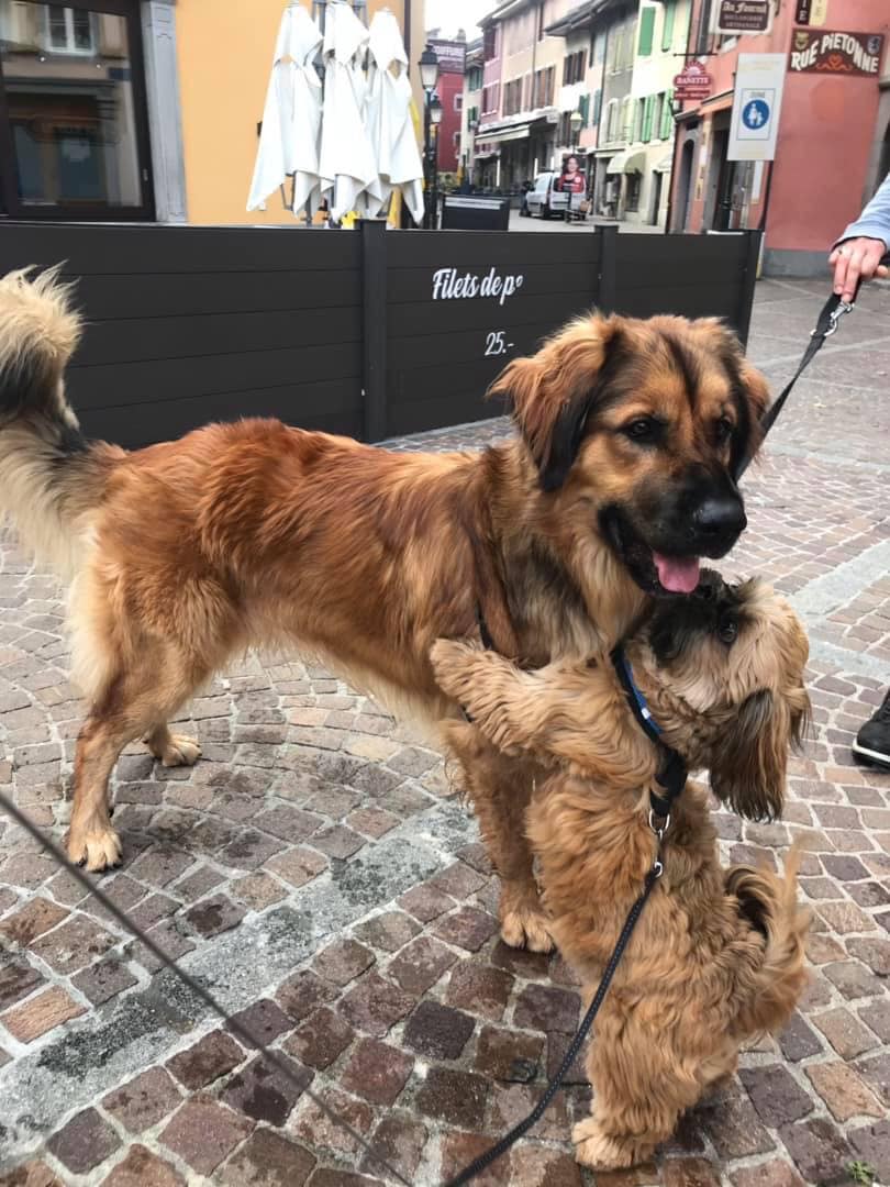 131356048_4164731146876006_6988231407902290922_o