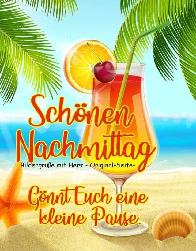 131357900_4166660943417462_9082654058428978534_n