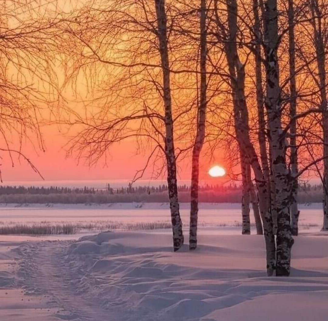 132044494_1314333325601071_433442017671998072_o