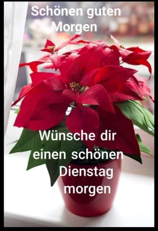 132122441_249000883234634_1954437142056894956_n (1)