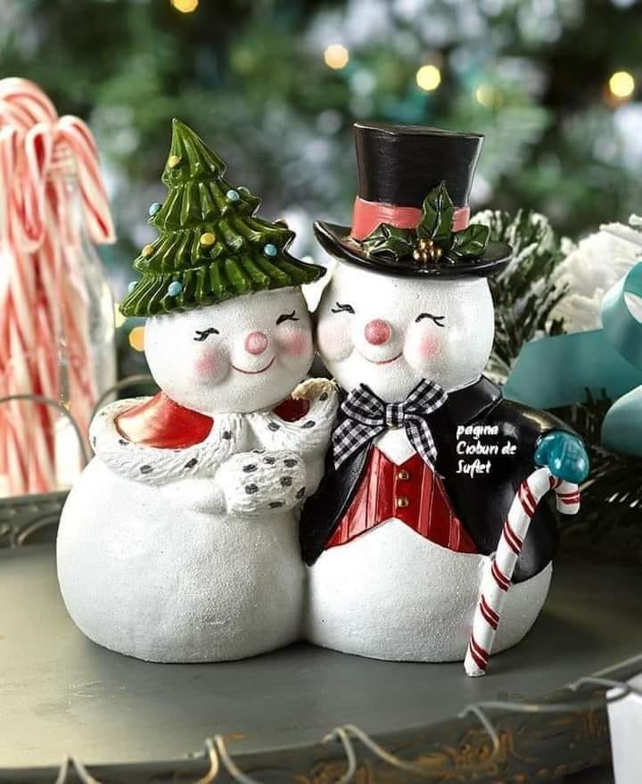 132427690_1315769905457413_3693590652909534428_n