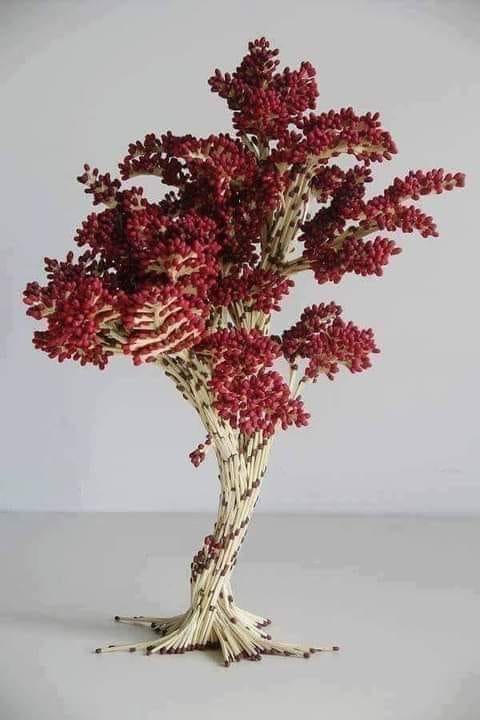 132946077_1315770132124057_3691384532843123997_n