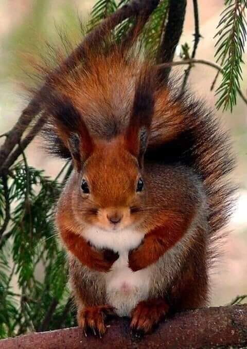 133906902_1078070729324948_1497979811753824417_n