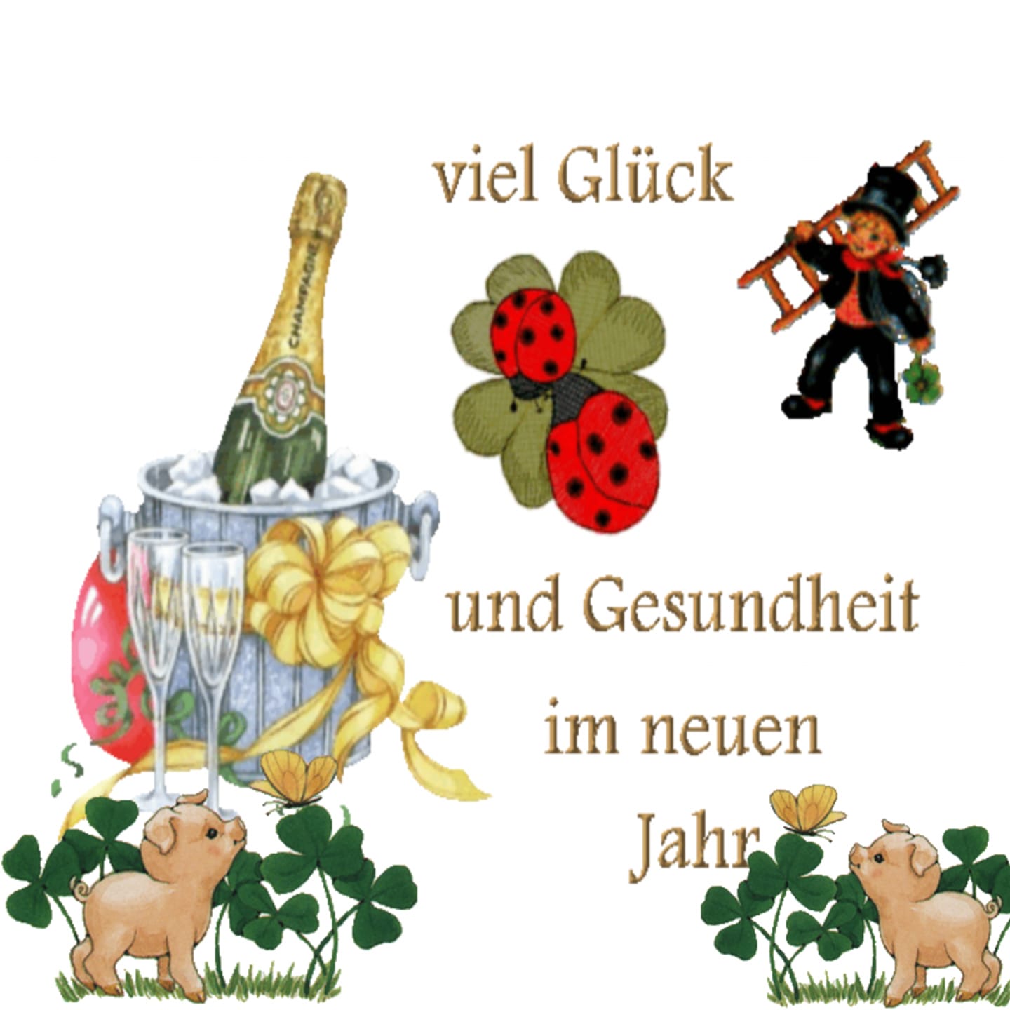 133911430_1130342504035620_5156281975246165436_o