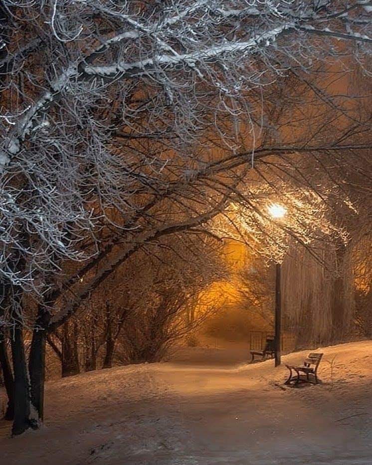 135265517_432158827823397_2240728250582706975_n