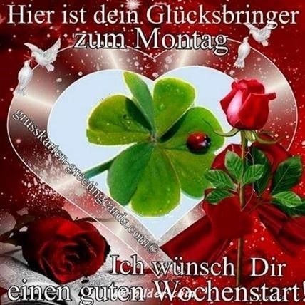 135462318_926908531383628_4884306640141902055_n