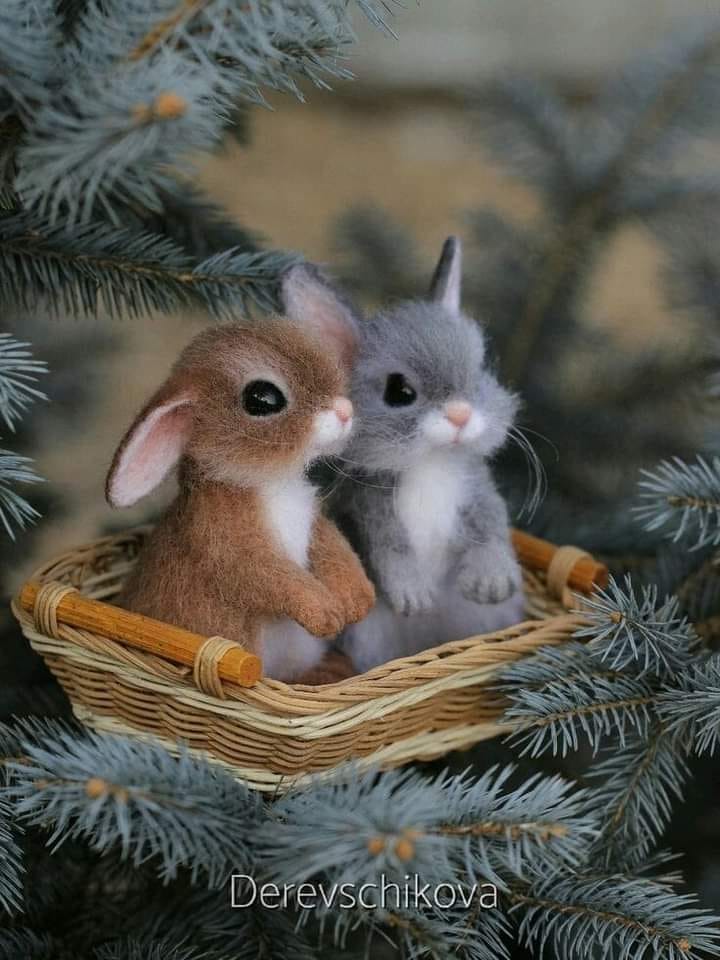 135580853_1081869318945089_329798302236515865_n