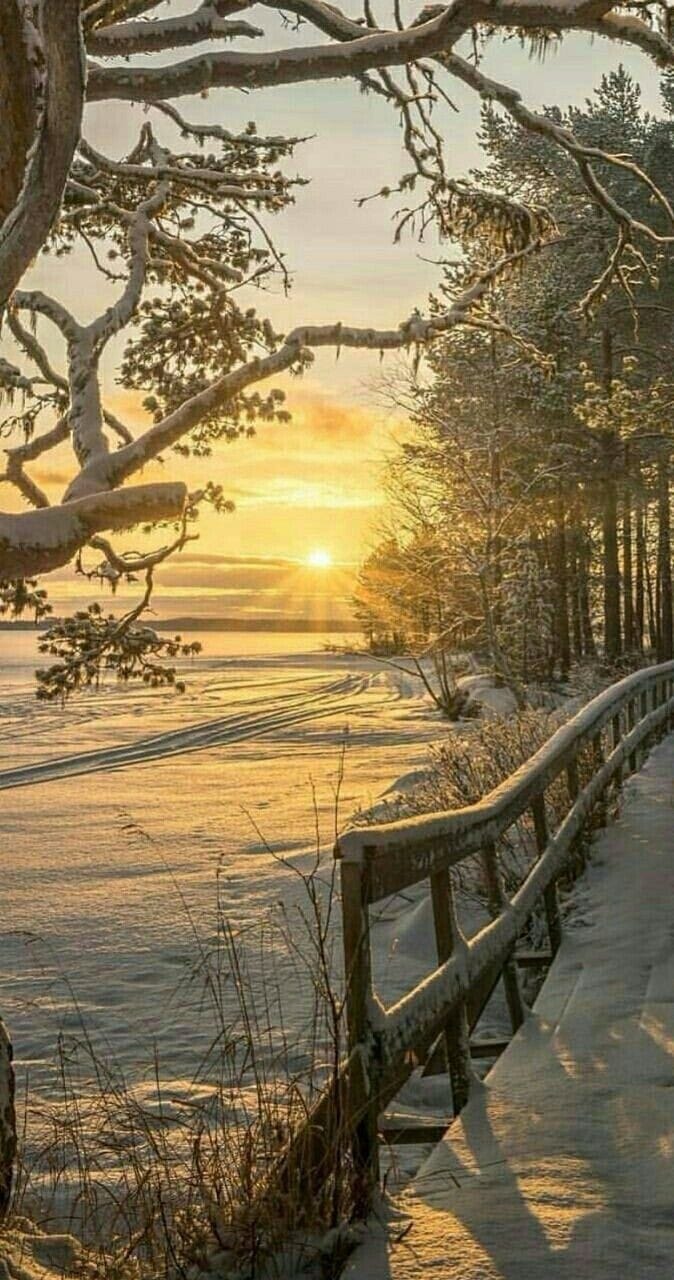 135755878_910088303064060_5197965841740337380_o