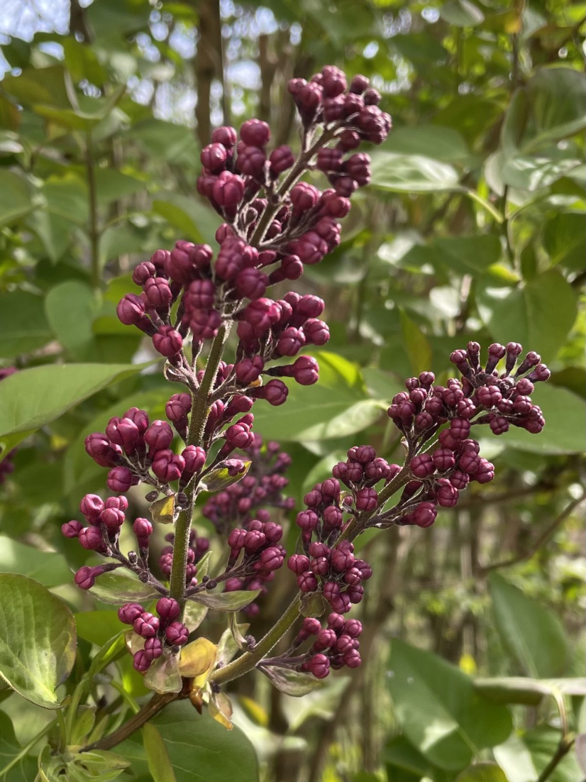 135C86CA-4409-4328-9B5F-7454E662002D