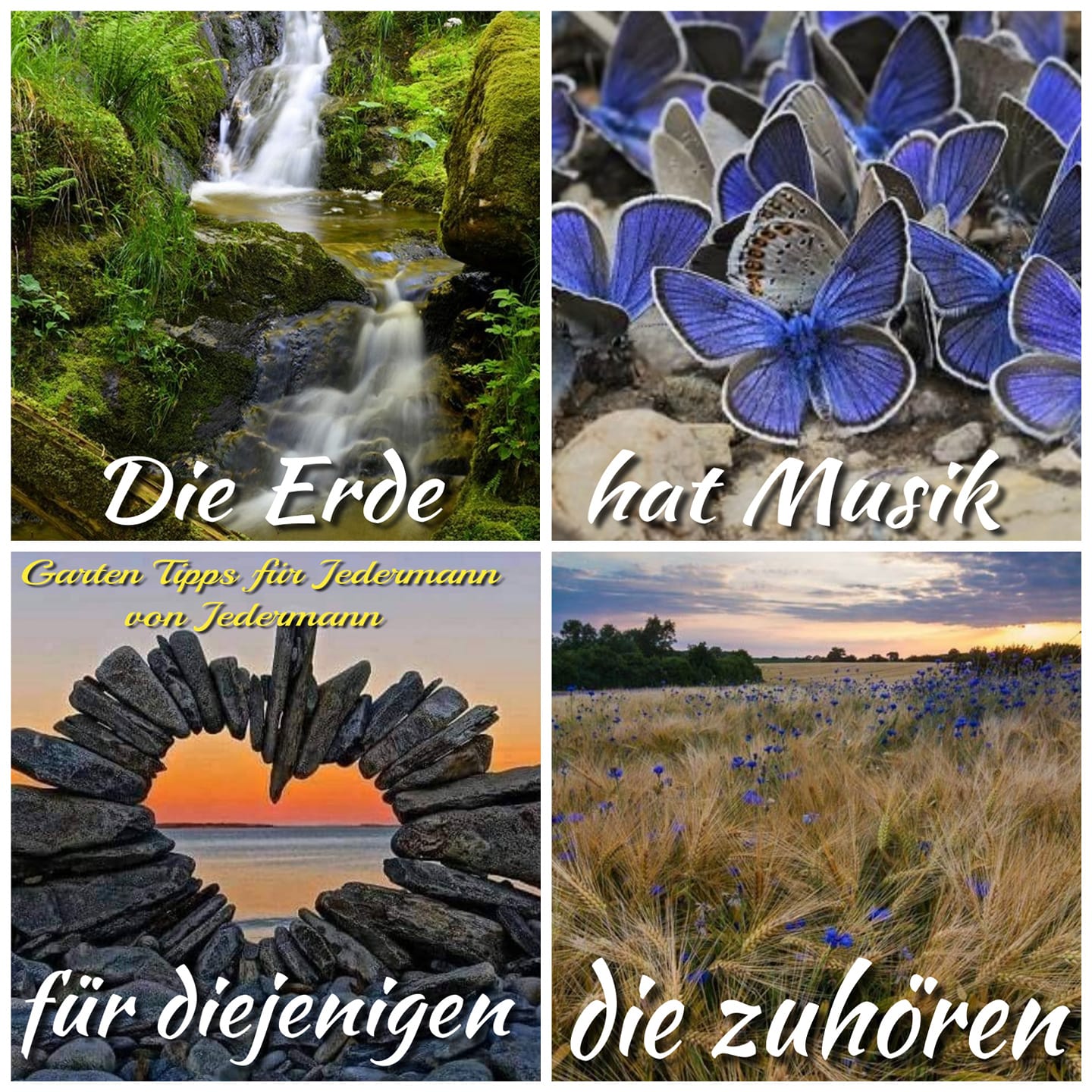 136677608_3447735761992361_1275275832856650589_o