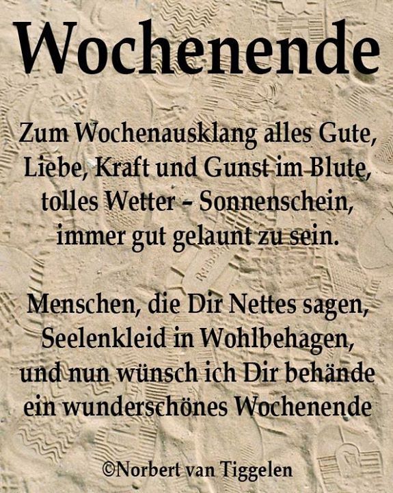 137d1200a777d5a7927fae42ddd70e9f--norbert-van-tiggelen-funny-memes