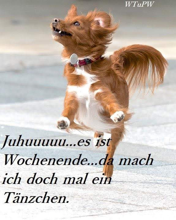 139301902_439072283798718_7829300466895190385_n