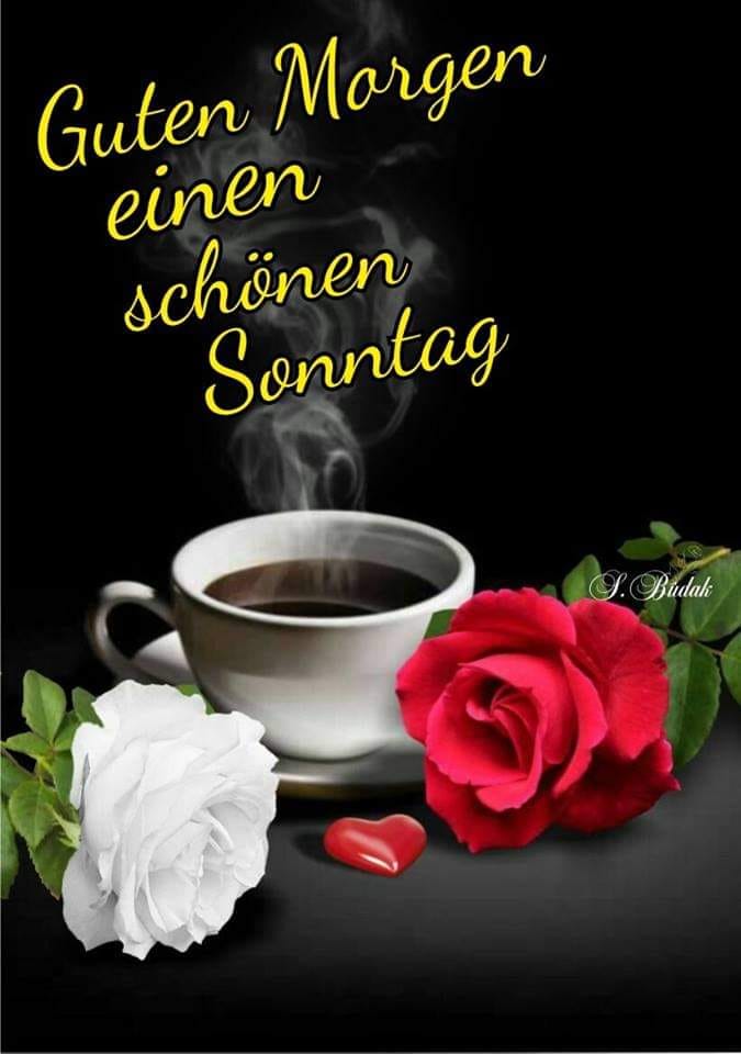 139948243_847552926102692_4153912855785960913_n