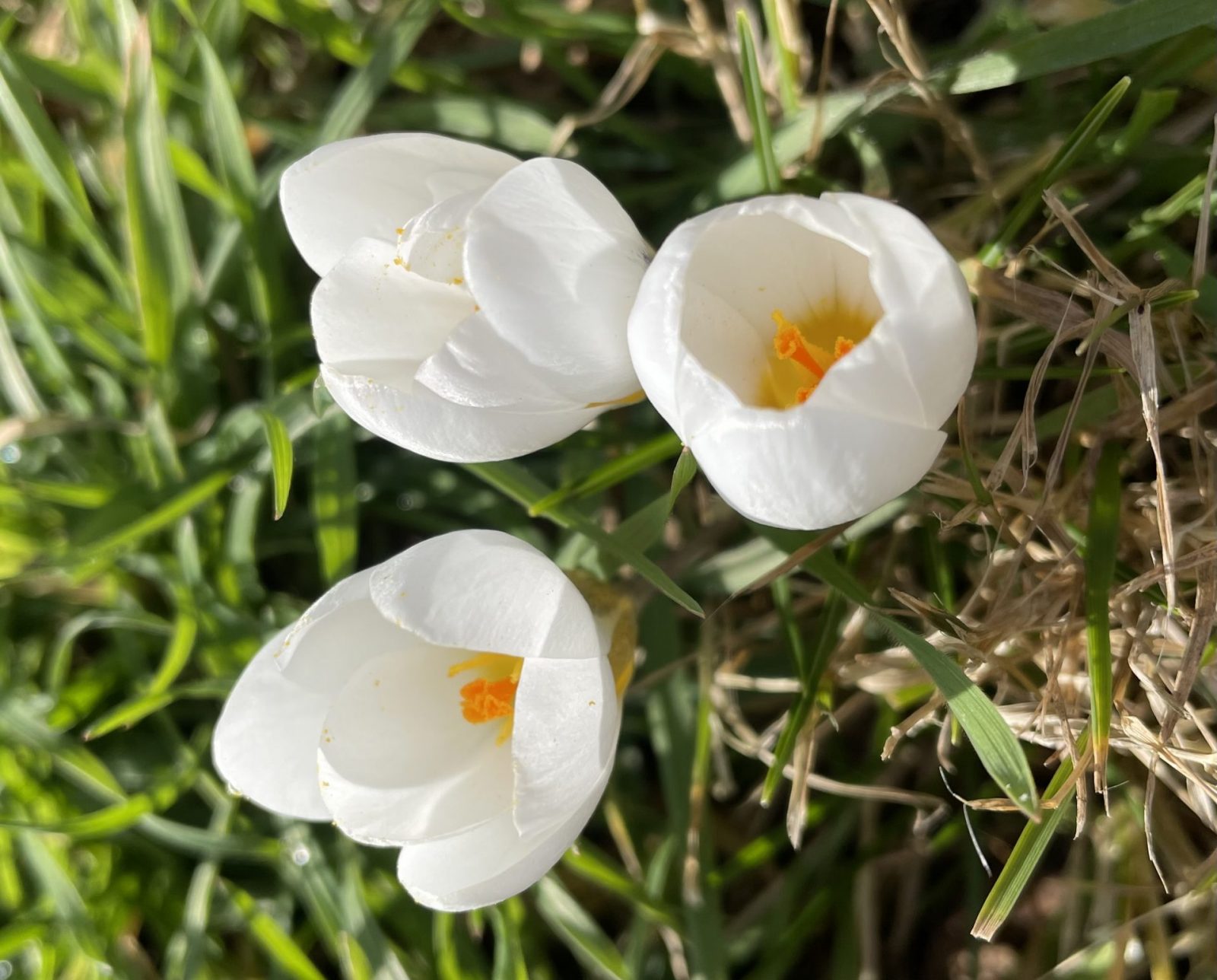 139B3172-6D2C-4C10-9598-F5041C341193