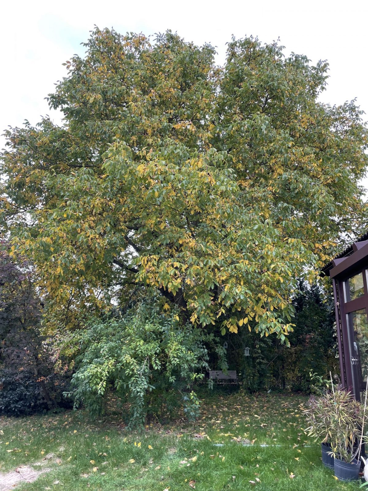 13ED7939-3E64-428D-8C81-2A6BAC00C715