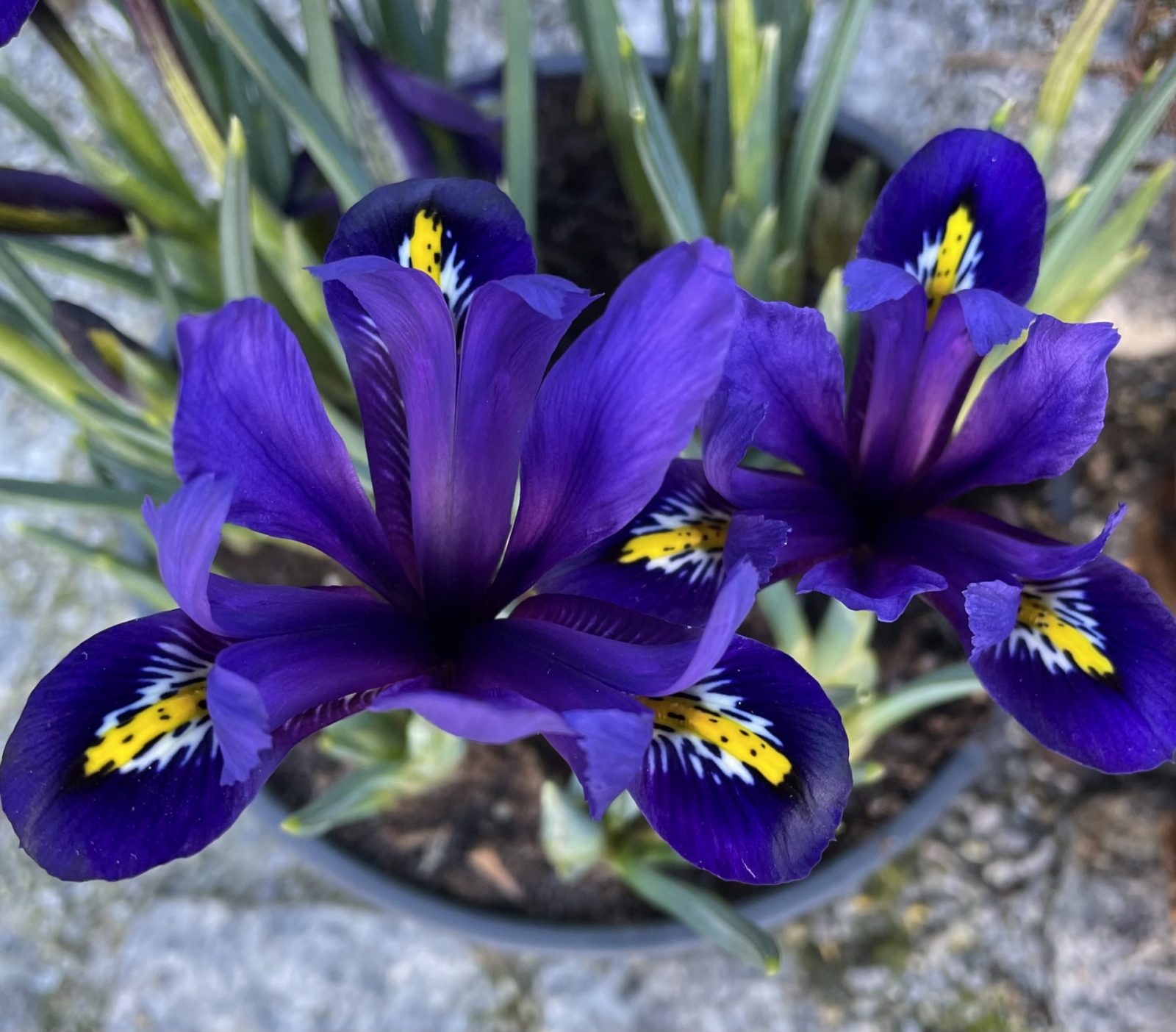 13F97EE0-BE05-421F-A53B-B50760E85B16