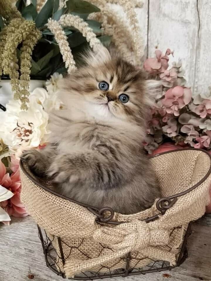 140270202_2235644846568275_2268388993657147744_n