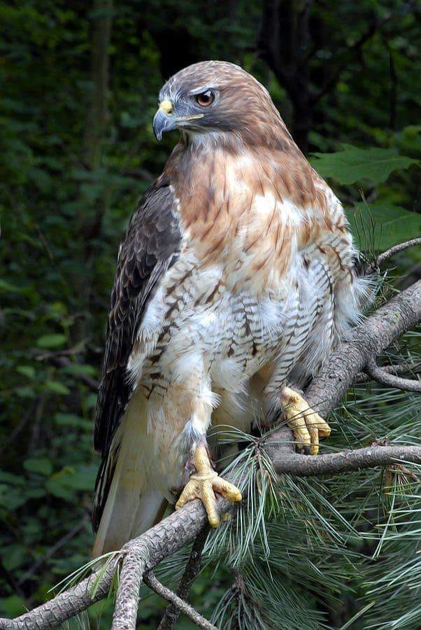 140508568_1095327954265892_7816471106184133166_n