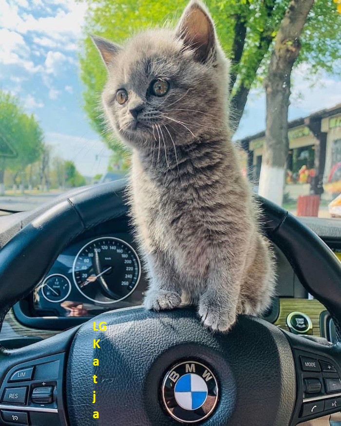 140603777_3673965592682049_706495084629165599_n