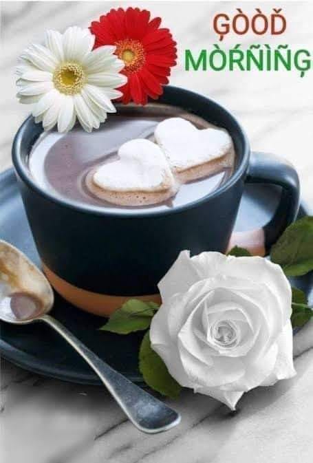 141027168_813652042550795_7906267754364950998_n