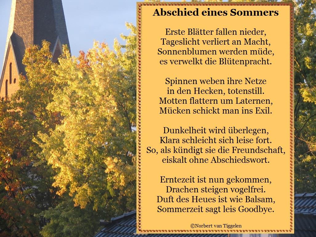 14114915_1086840711365864_9162610779165495630_o (1)