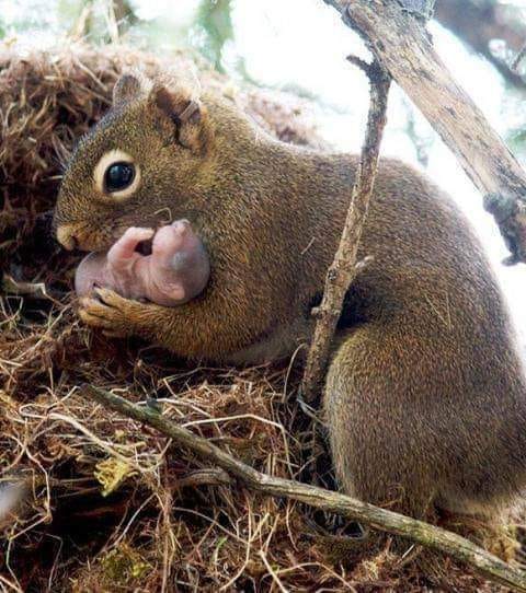 141520621_1141646909601266_3252028176967621689_n