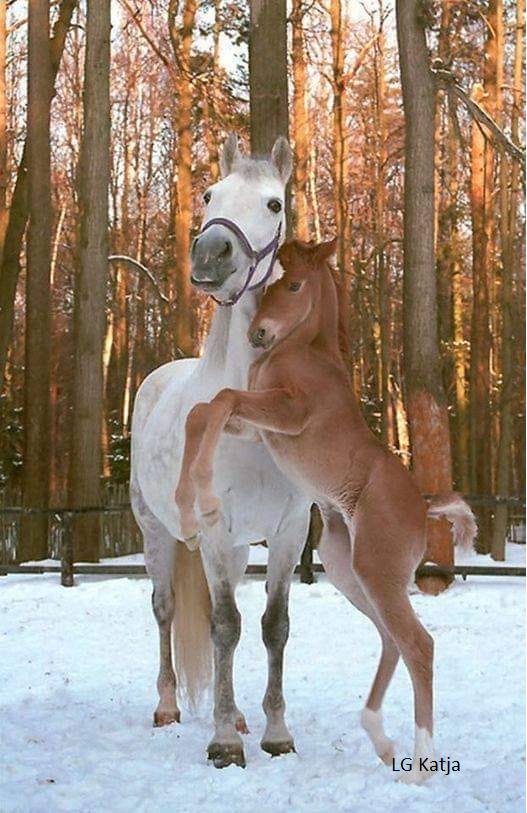 141610693_3683541885057753_5614138912423381394_n