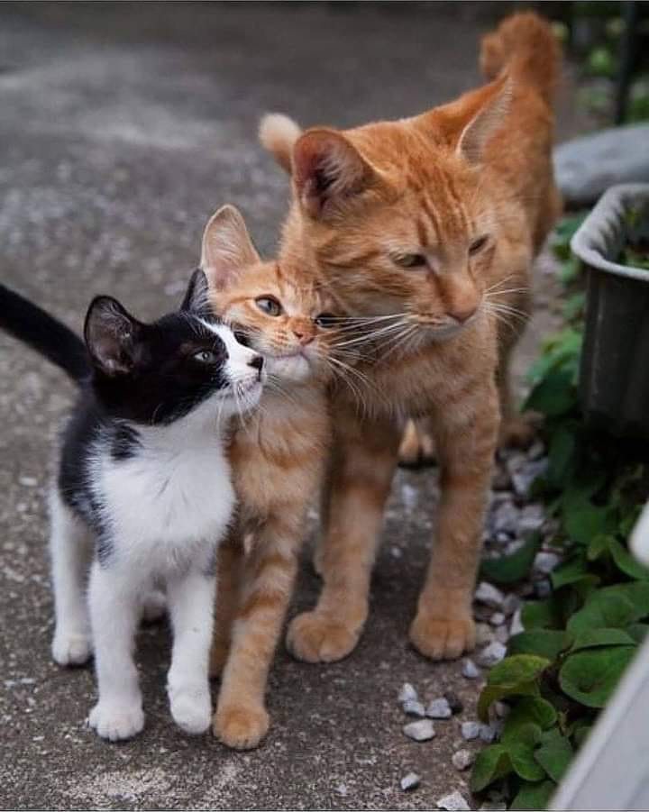 142314508_1098170497314971_109917404769992426_n