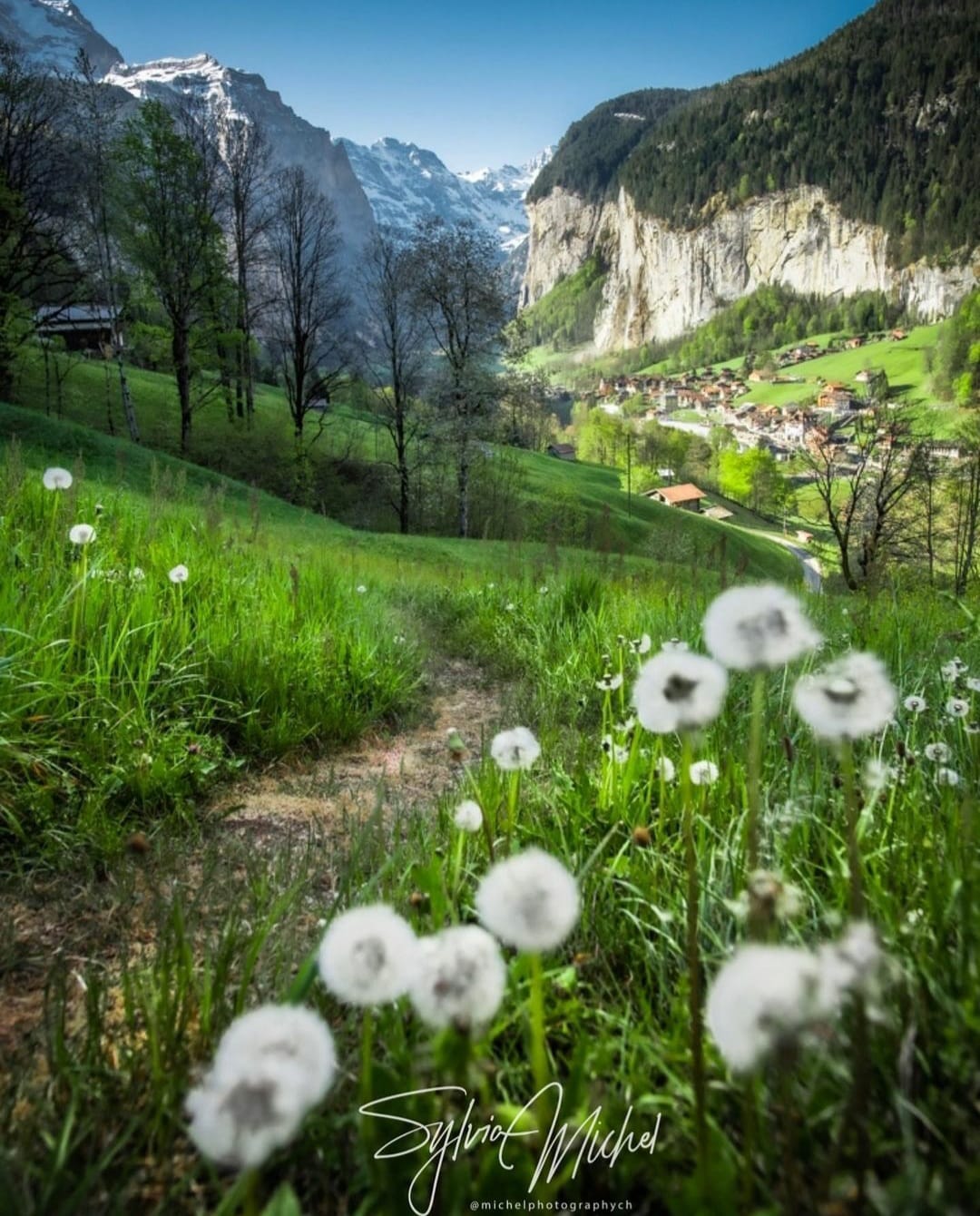 143772938_1339591093075294_7591835556897053092_o