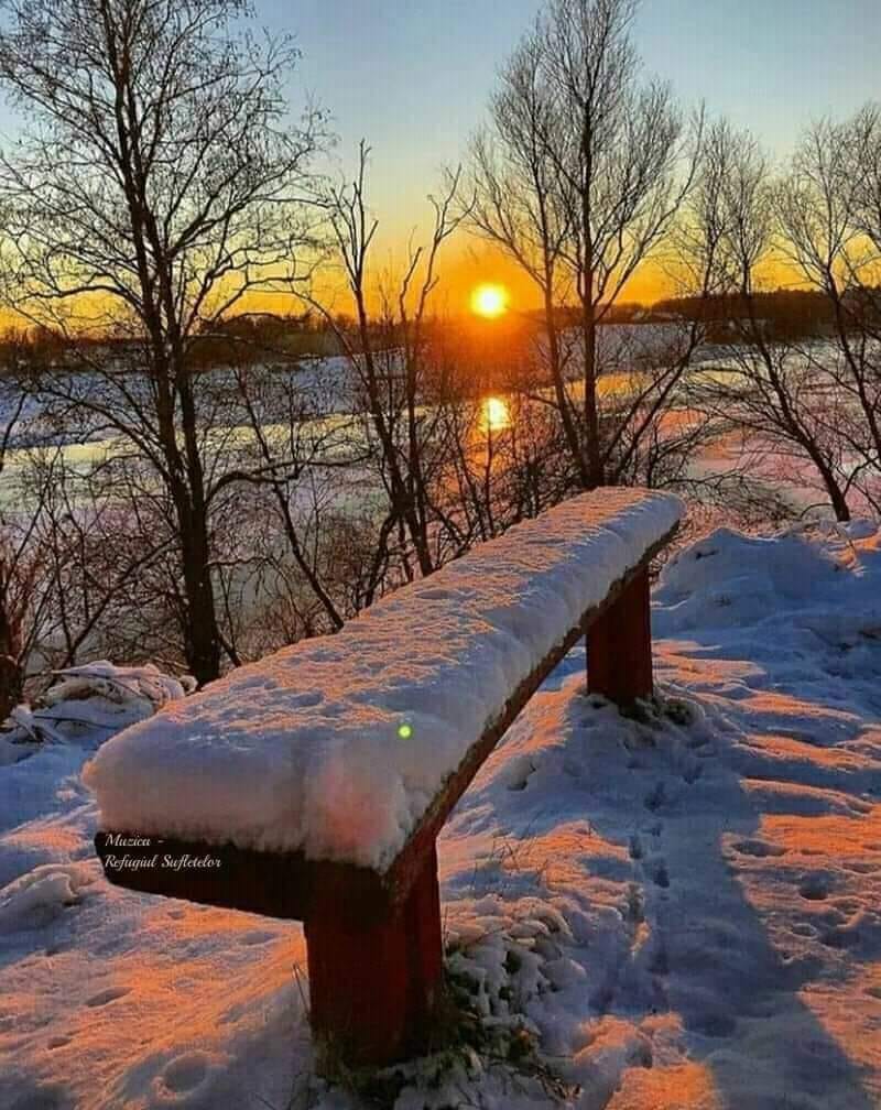 143965612_1339334823100921_3910388205254170676_o