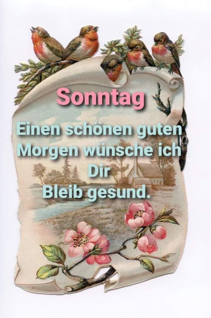 144191453_215568813622769_2207784943007523829_o.jpg SONNTAG