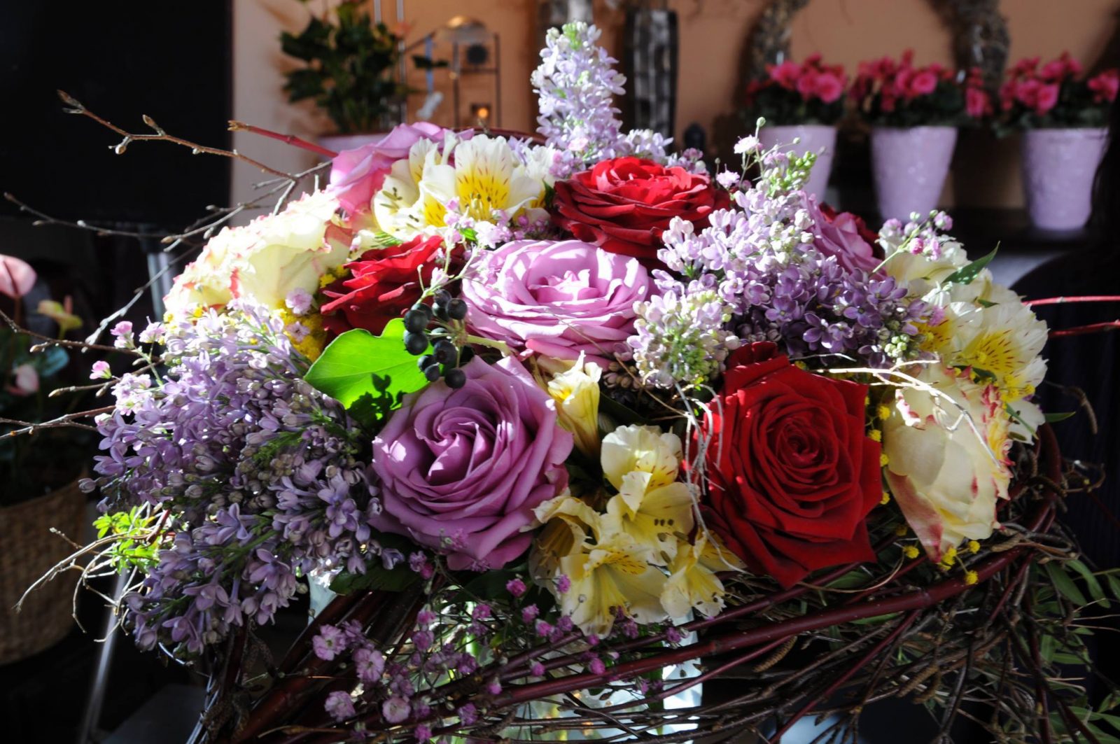 14468570_1094896857253955_2581892332578613018_o