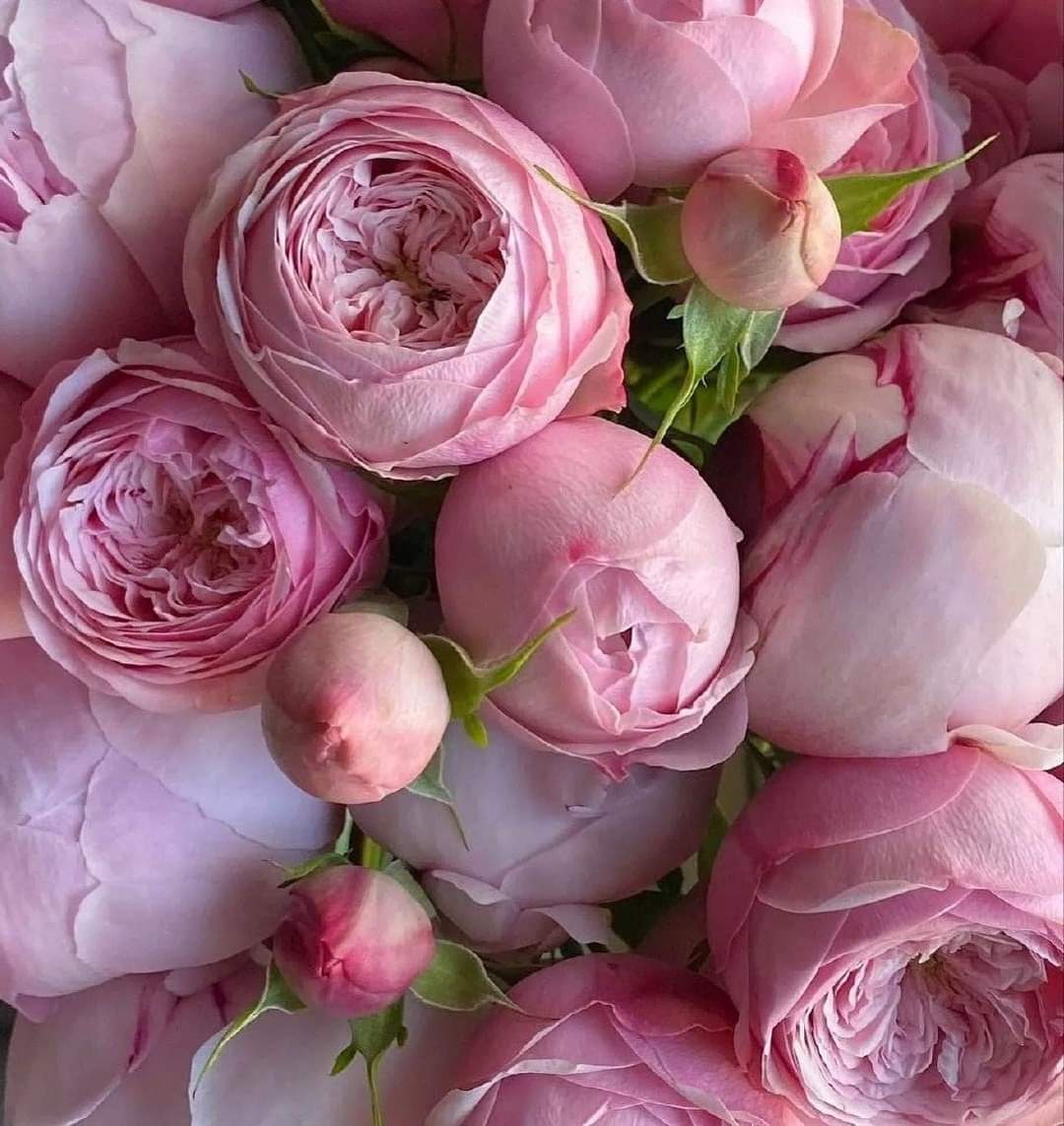 1446f76d-0e81-4187-a93e-0e221fb01e4f