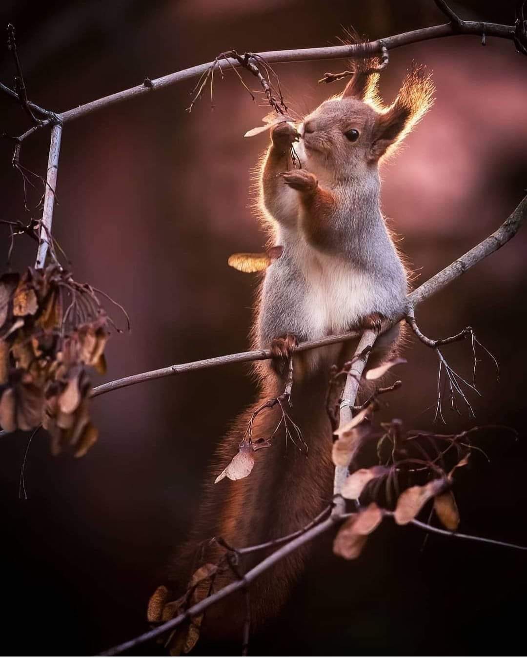 145633904_1148277045604919_1356381990339624157_o