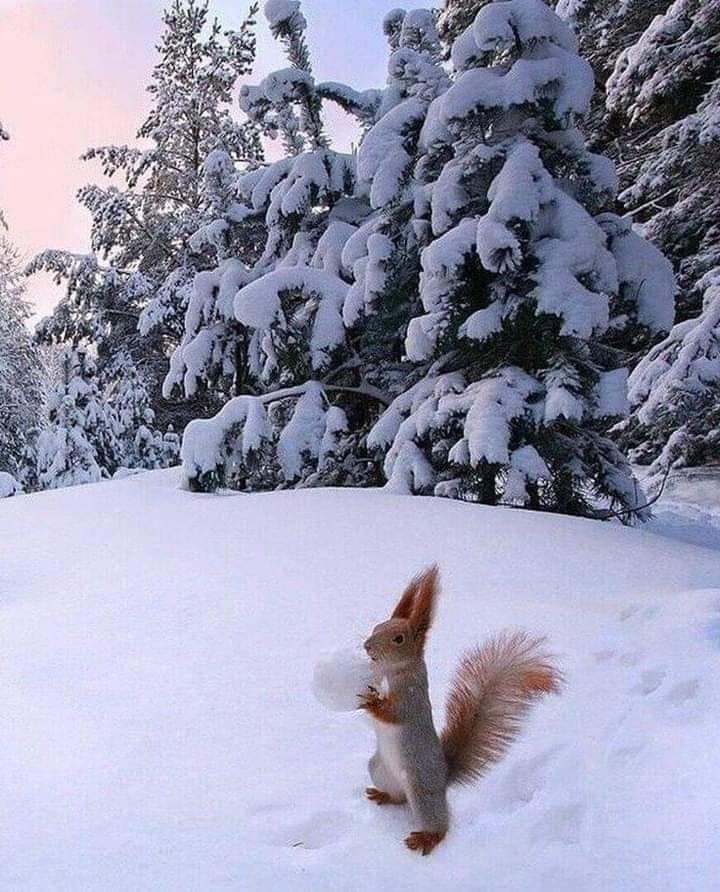 147393384_1150325052066785_6619973011219562419_n